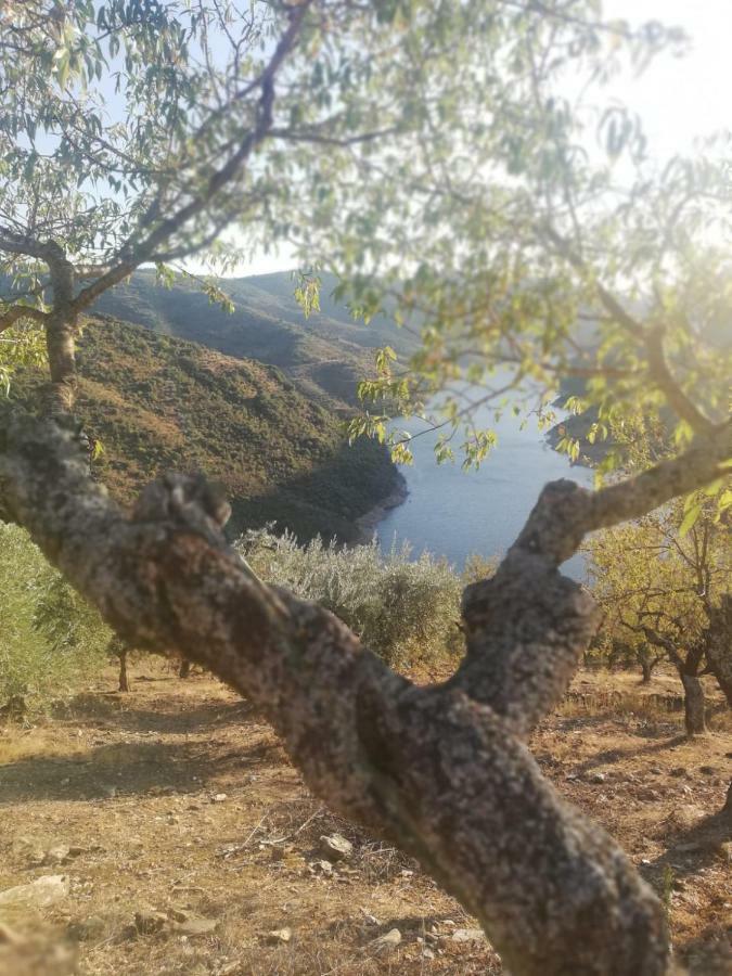 Casas De Xisto Villa Mogadouro  Bagian luar foto